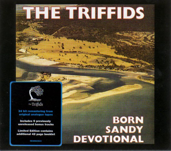 born-sandy-devotional