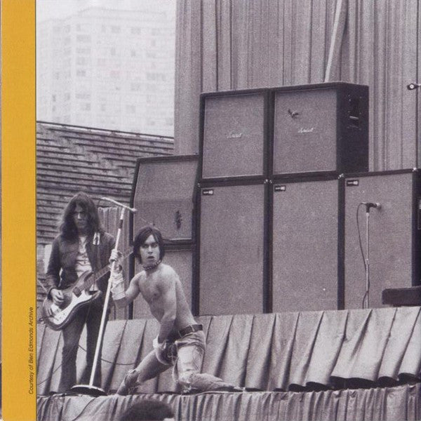 the-stooges