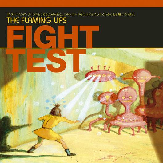 fight-test