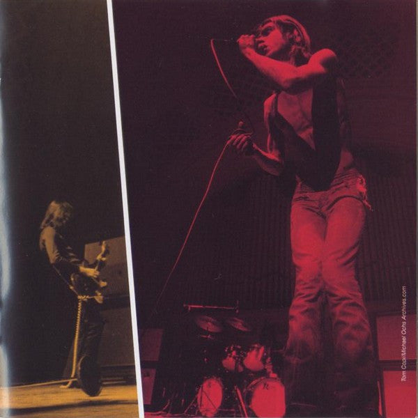 the-stooges