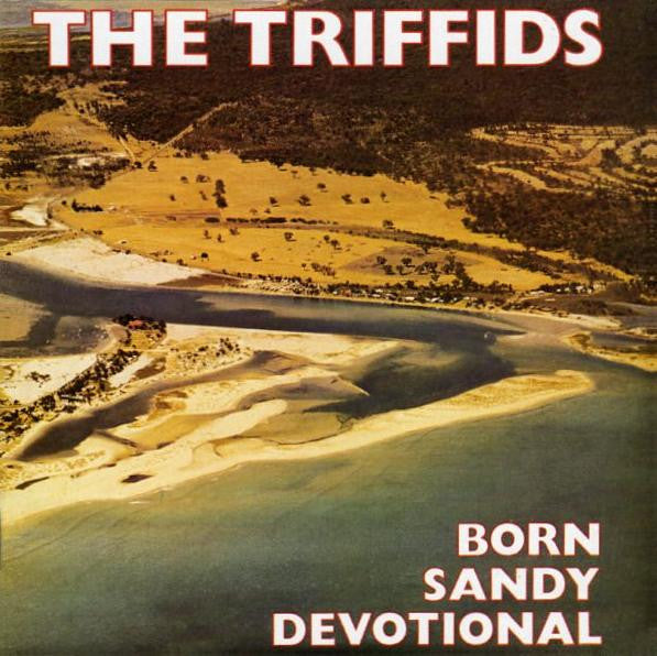 born-sandy-devotional
