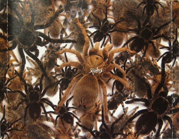 spiders