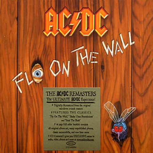fly-on-the-wall