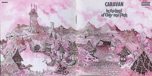 in-the-land-of-grey-and-pink