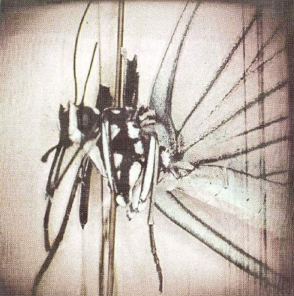 suicide-notes-and-butterfly-kisses
