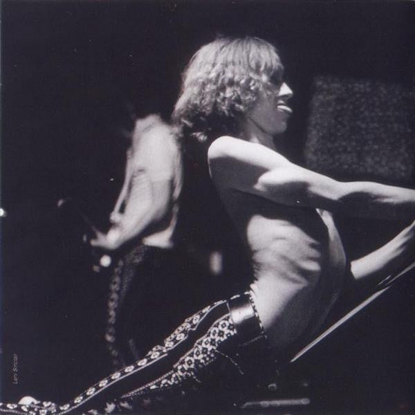the-stooges