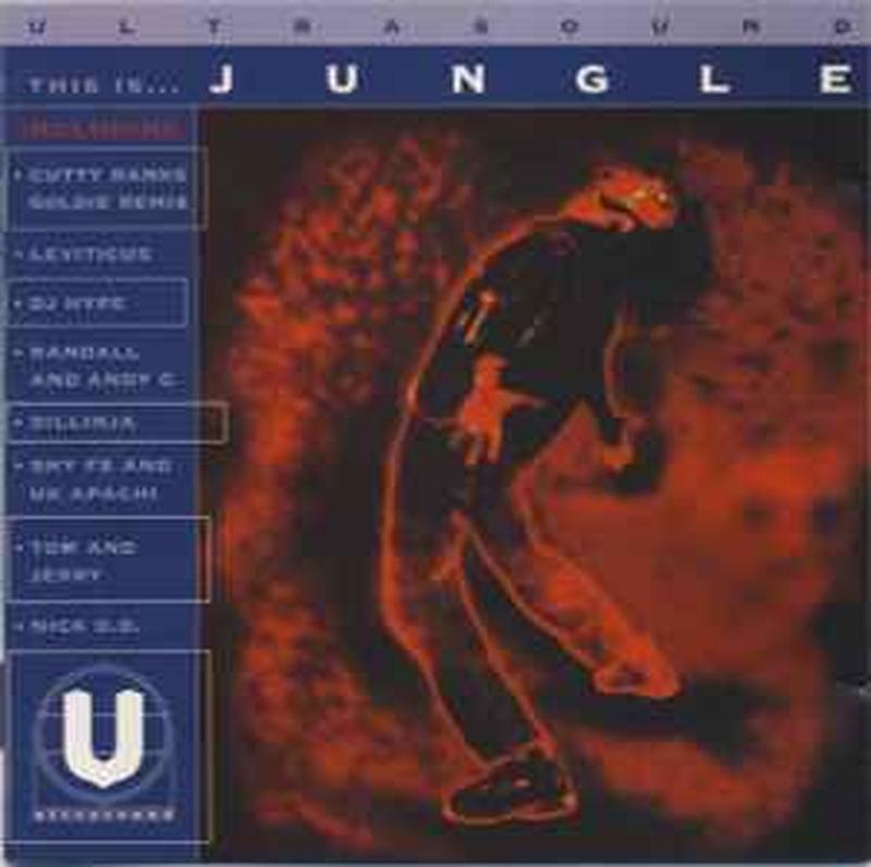 this-is...-jungle
