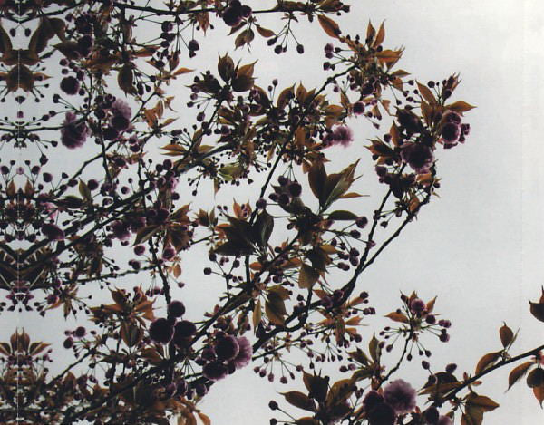 oneiric