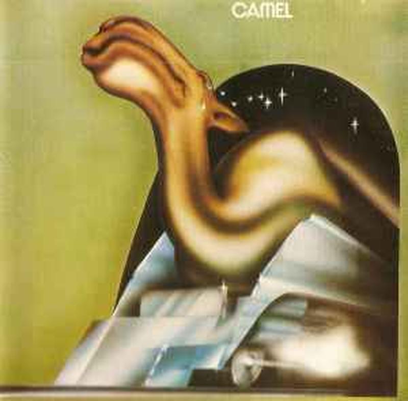 camel