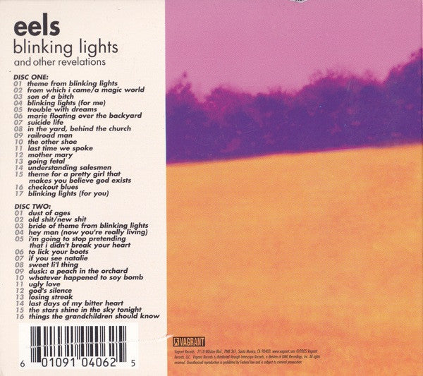blinking-lights-and-other-revelations