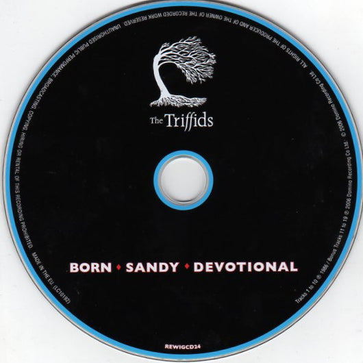 born-sandy-devotional
