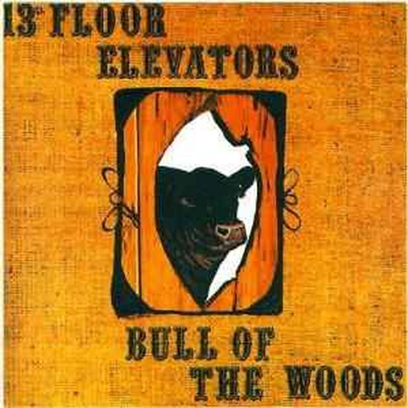 bull-of-the-woods