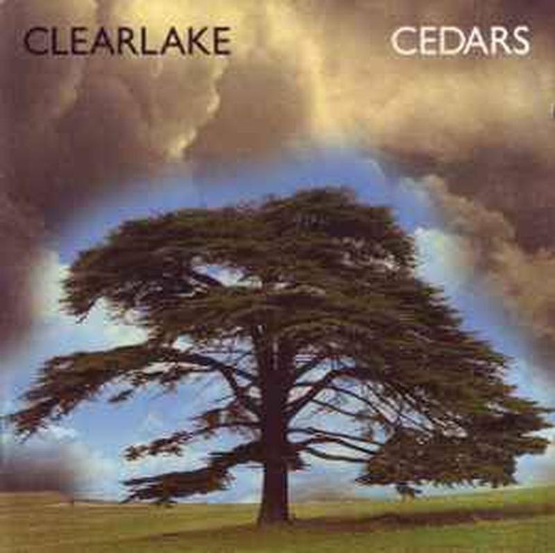 cedars