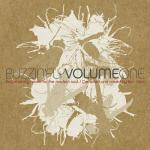 buzzin-fly-volume-one-(replenishing-music-for-the-modern-soul)