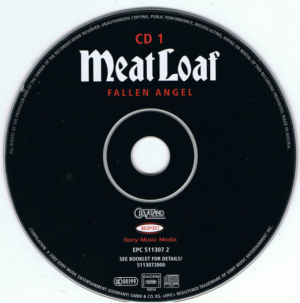 fallen-angel