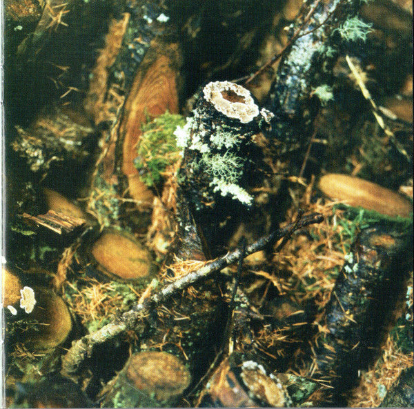 still-life