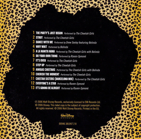 the-cheetah-girls-2