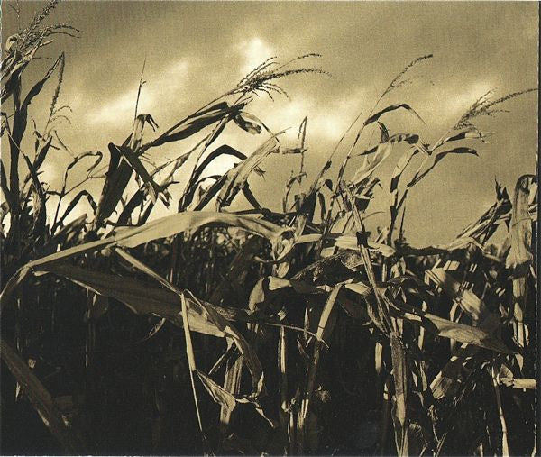 scarecrow
