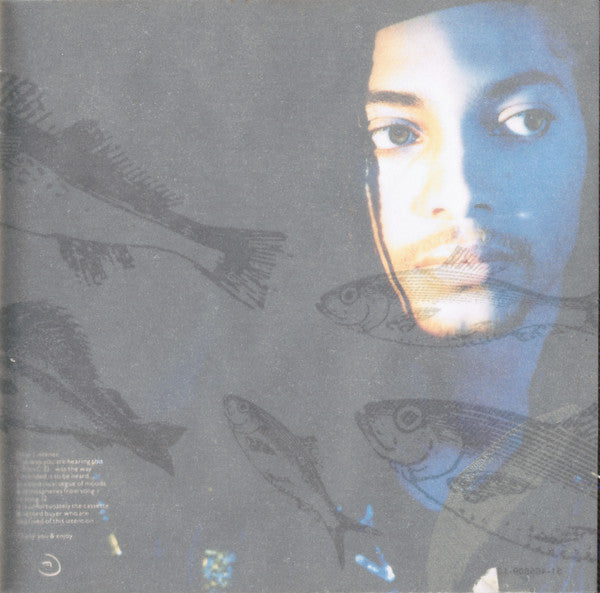 terence-trent-darbys-neither-fish-nor-flesh:-a-soundtrack-of-love,-faith,-hope,-and-destruction