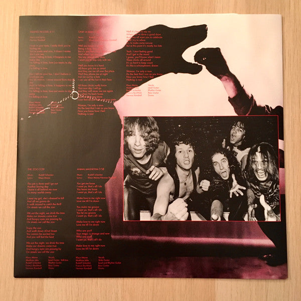 animal-magnetism