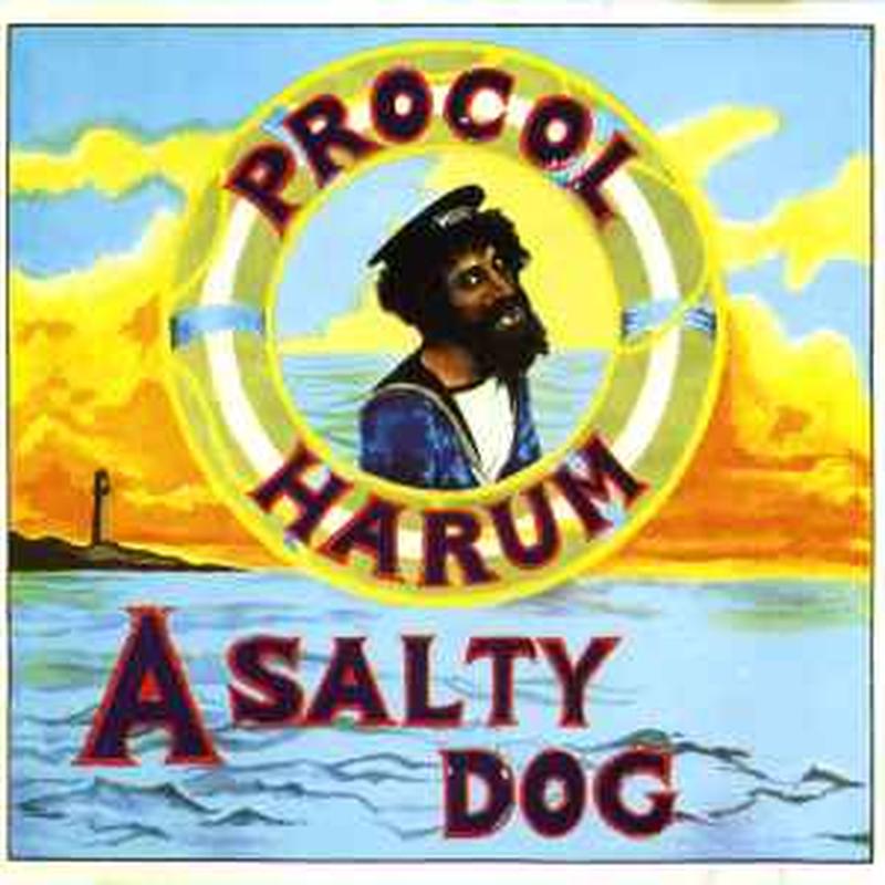a-salty-dog