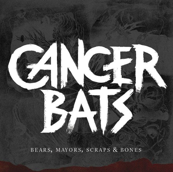 bears,-mayors,-scraps-&-bones