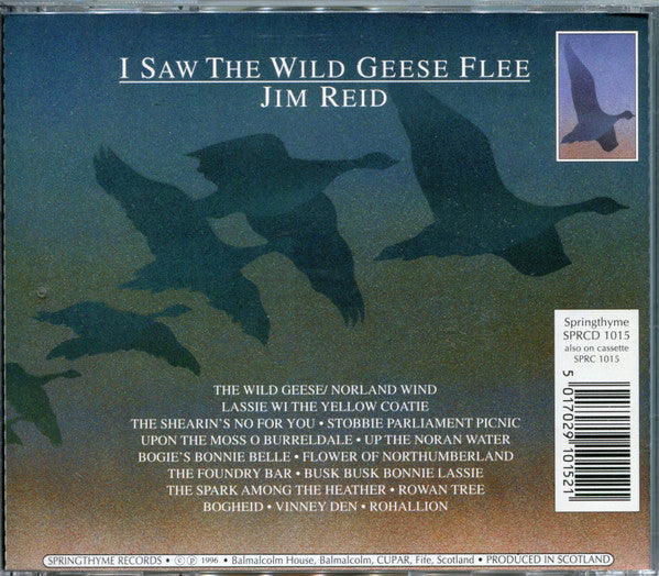 i-saw-the-wild-geese-flee