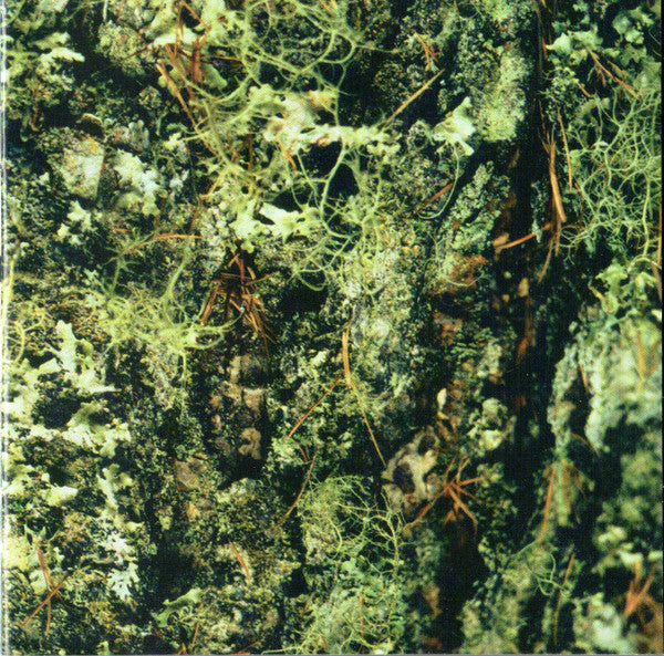 still-life