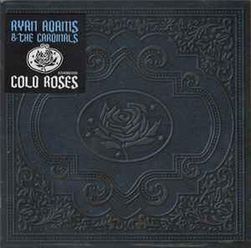 cold-roses