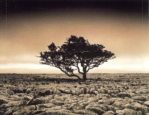eternal-echoes