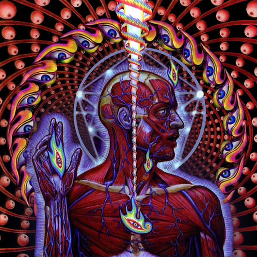 lateralus