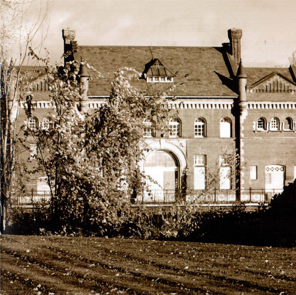 despite-guardian-angels
