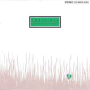 shamrock-diaries