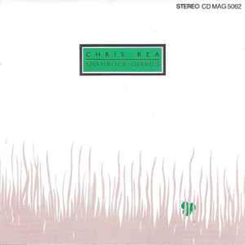 shamrock-diaries