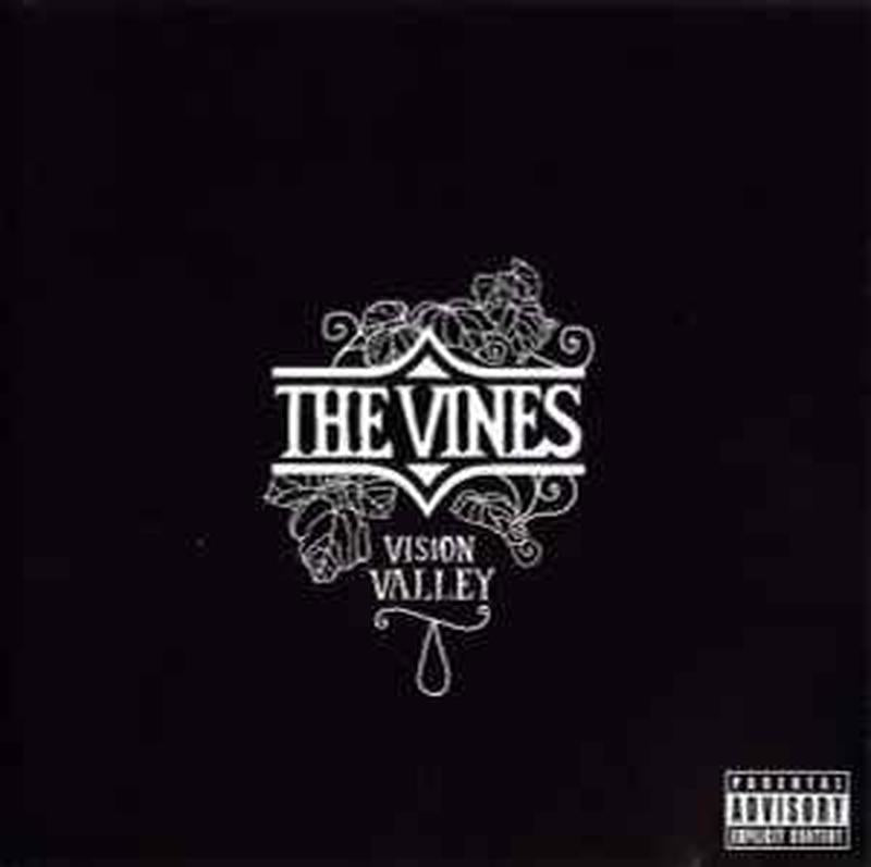 vision-valley