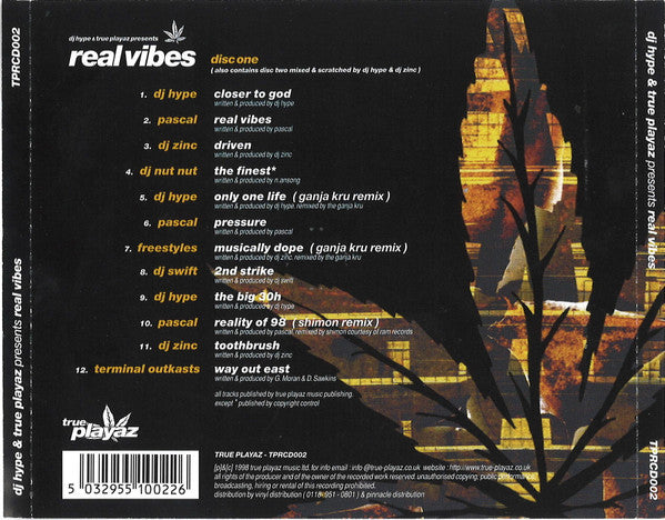dj-hype-&-true-playaz-presents-real-vibes