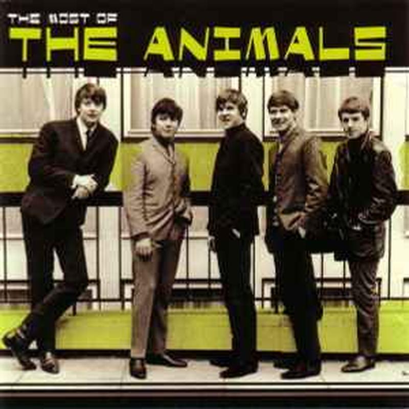 the-most-of-the-animals