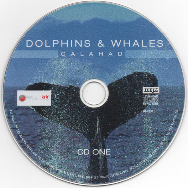 dolphins-&-whales