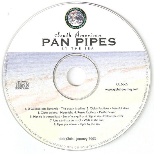 south-american-pan-pipes-by-the-sea