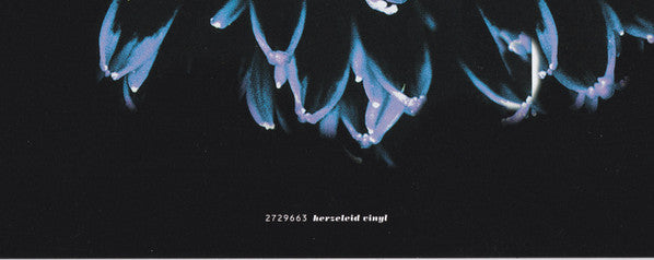 herzeleid