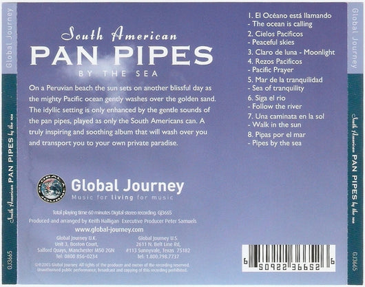 south-american-pan-pipes-by-the-sea