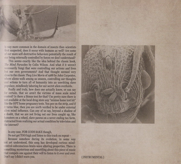 vile-nilotic-rites