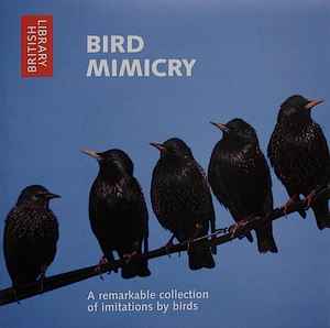 bird-mimicry