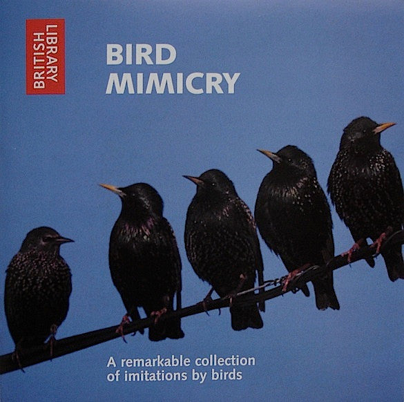 bird-mimicry