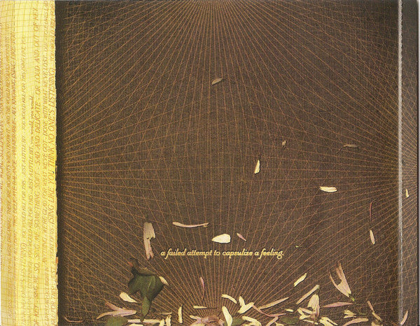 straylight-run