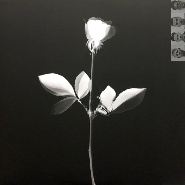 violator