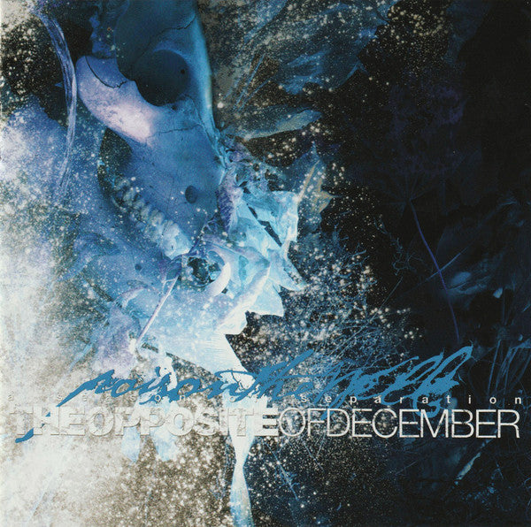 the-opposite-of-december...-a-season-of-separation