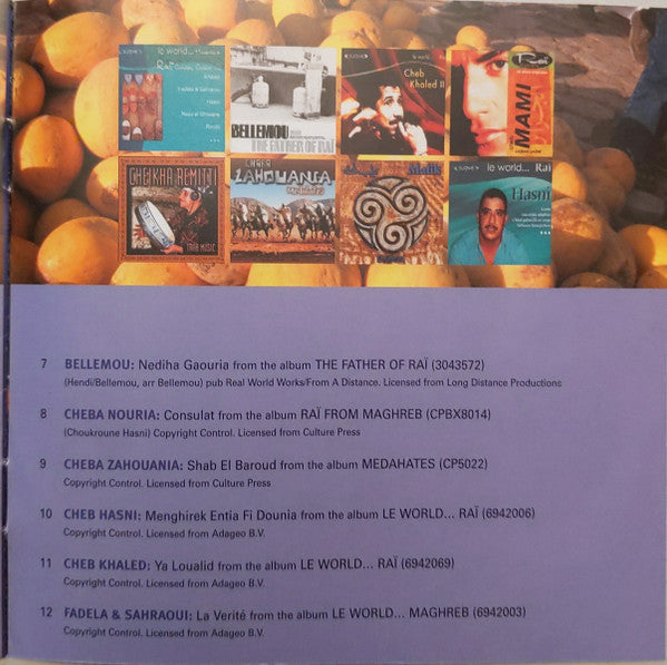 the-rough-guide-to-raï