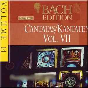 cantatas-/-kantaten-vol.-vii