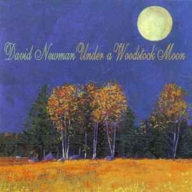 under-a-woodstock-moon